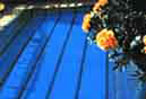 Photo of pools in hotel