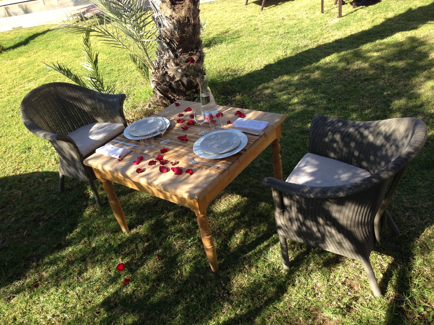 Photo of restaurant of hotel